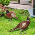 thumbnail image 4 of 2 Pack Acrylic Stakes Garden Pheasants Stake Yard Art Outdoor Animal Decoration Lawn Patio Decorative Statue Sculpture, 4 of 9