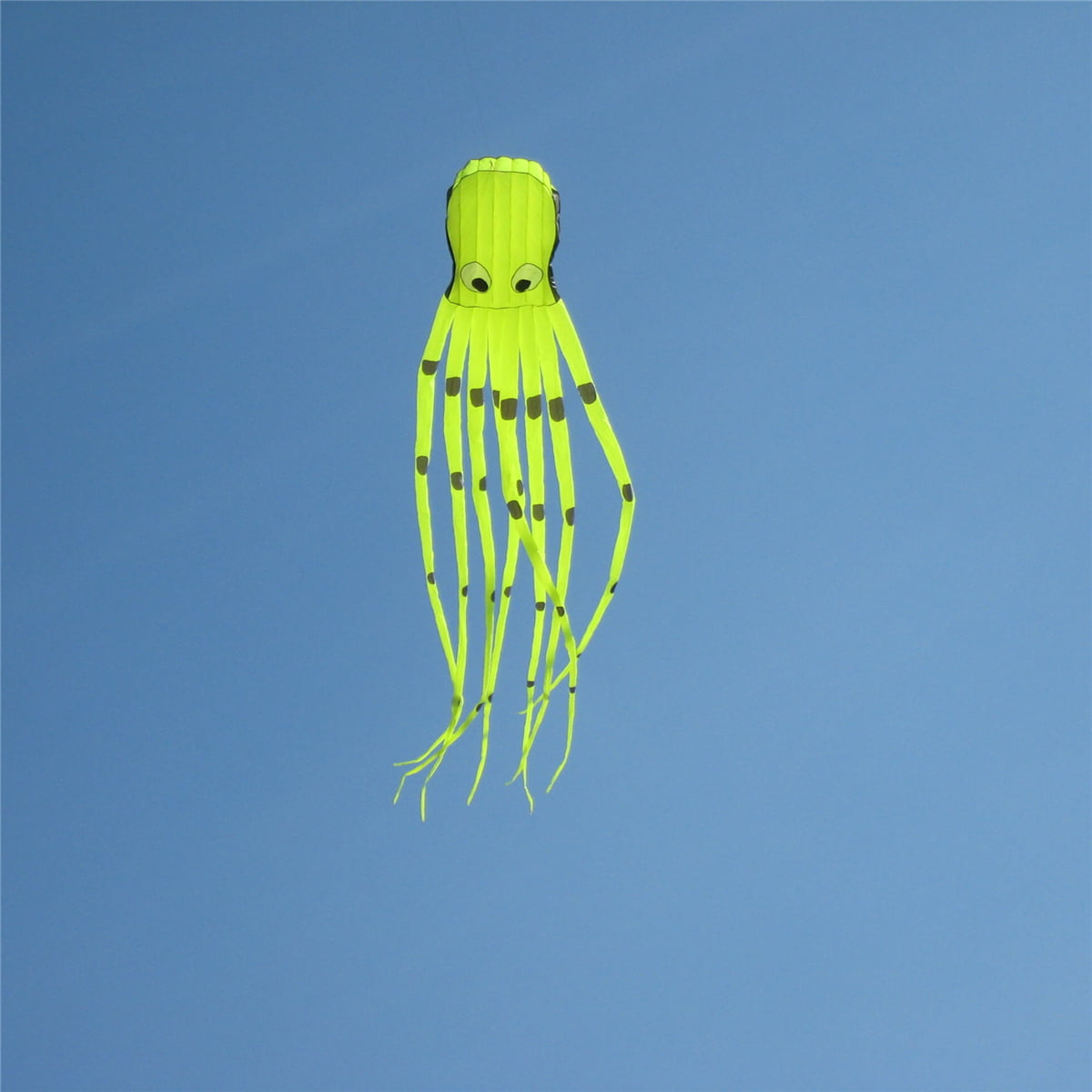 8M 3D Soft Tube Shaped Parafoil Octopus Kite Power Sport Kites Outdoor Toy 