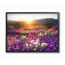 The Stupell Home Decor Collection Dune Wildflowers at Sunset Framed Giclee Texturized Art