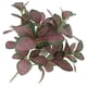 thumbnail image 3 of Injueey 5 ramas de plantas artificiales, vides, colgante de pared, simulación de hojas de ratán, ramas, planta verde, hoja de hiedra, Plantas Artificiales, 3 of 6