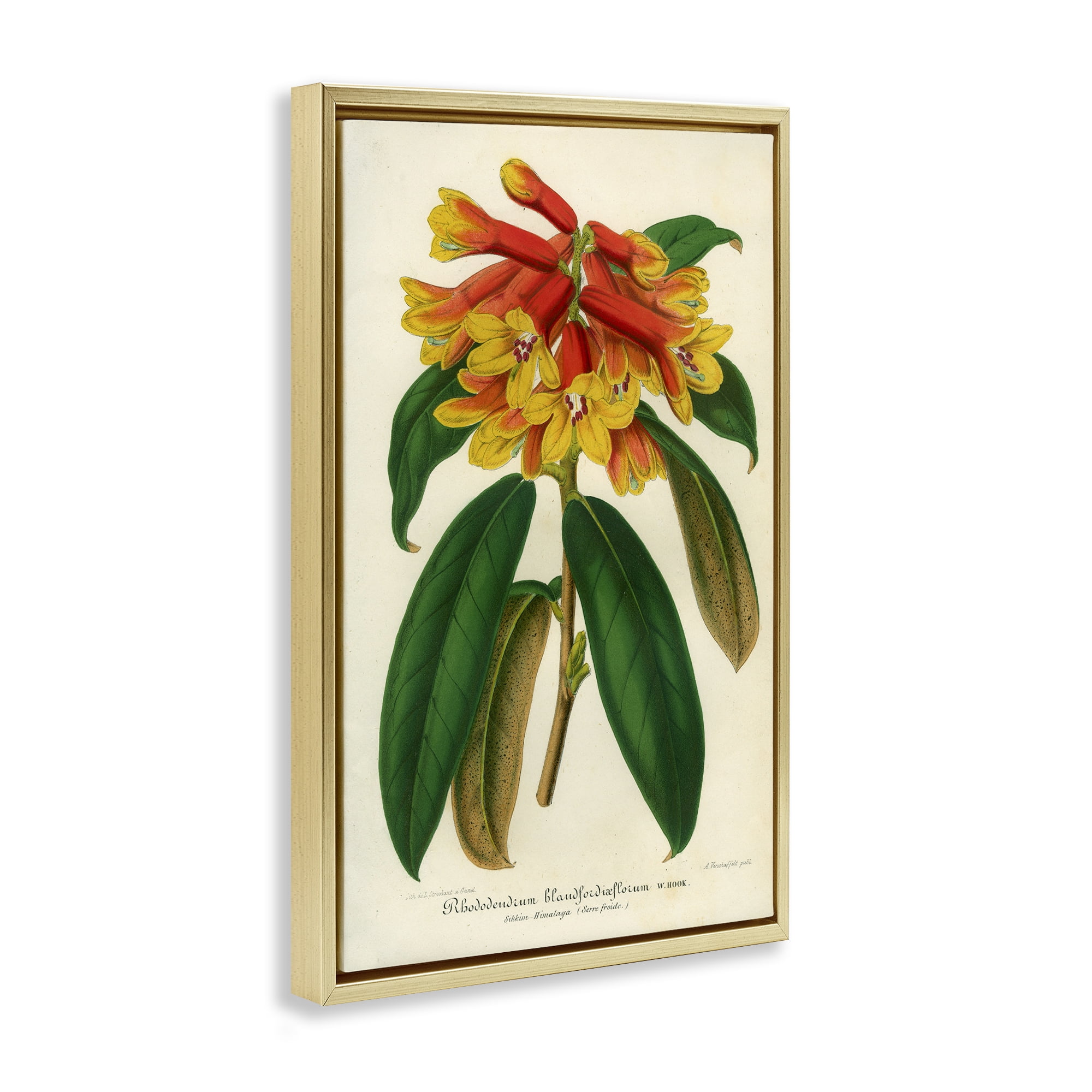 Stupell Industries Orange Yellow Rhododendron Gold Framed Floater Canvas Wall Art, design by Print Collection