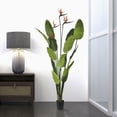 thumbnail image 6 of Vickerman 5' Artificial Potted Bird of Paradise Palm Tree., 6 of 6