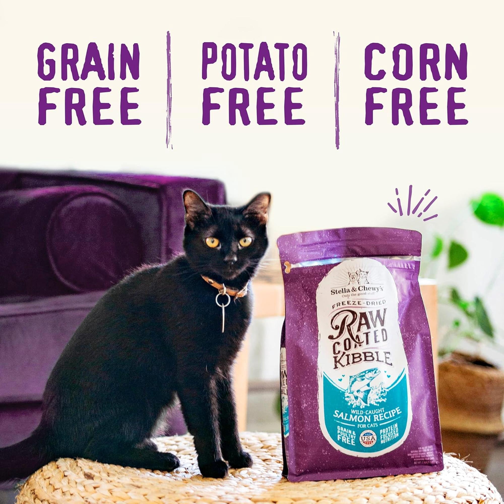 Stella & Chewy's Baked Kibble for Cats - Raw Coated Cage-Free Chicken Recipe - 10 Pound Bag