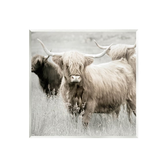 Stupell Industries Highland Cattle Country Meadow Photograph Unframed Art Print Wall Art, Design by Danita Delimont