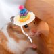 thumbnail image 4 of unbranded Sombrero Tejido Para Hámster Y Pequeños Para Fiestas Y Cosplay Multicolor, 4 of 7