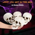 thumbnail image 5 of Yesocm 4 Pcs Life Size Skeleton Skull Halloween Realistic Human Model Moving Jaw Outdoor Indoor Decorations, 5 of 9