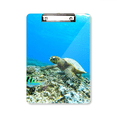 thumbnail image 1 of Portapapeles A4 Unbranded tortugas marinas del océano pescado ciencia naturaleza, 1 of 4
