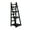 Black, variant on Fionafurn 4-Tier 44'' Ladder Shelf Bookshelf Bookcase Storage Display Plant Leaning Shelf Black