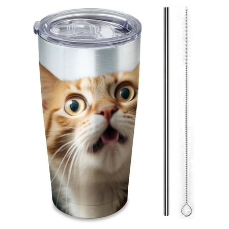 

orange cat with mouth open Insulated 20 oz Stainless Steel Travel Tumbler Reusable Straw & Brush Hot & Cold Drinkware for Car Office Outdoor