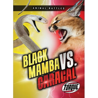 Animal Battles Black Mamba vs. Caracal, (Paperback)