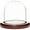 Dark Wood Base, variant on Plymor 3" x 3" Glass Display Dome Cloche (Walnut Veneer Base)