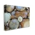 thumbnail image 3 of Stupell Industries Wood Stones Nature Photography Landscape Photography Gallery Wrapped Canvas Print Wall Art, 3 of 5