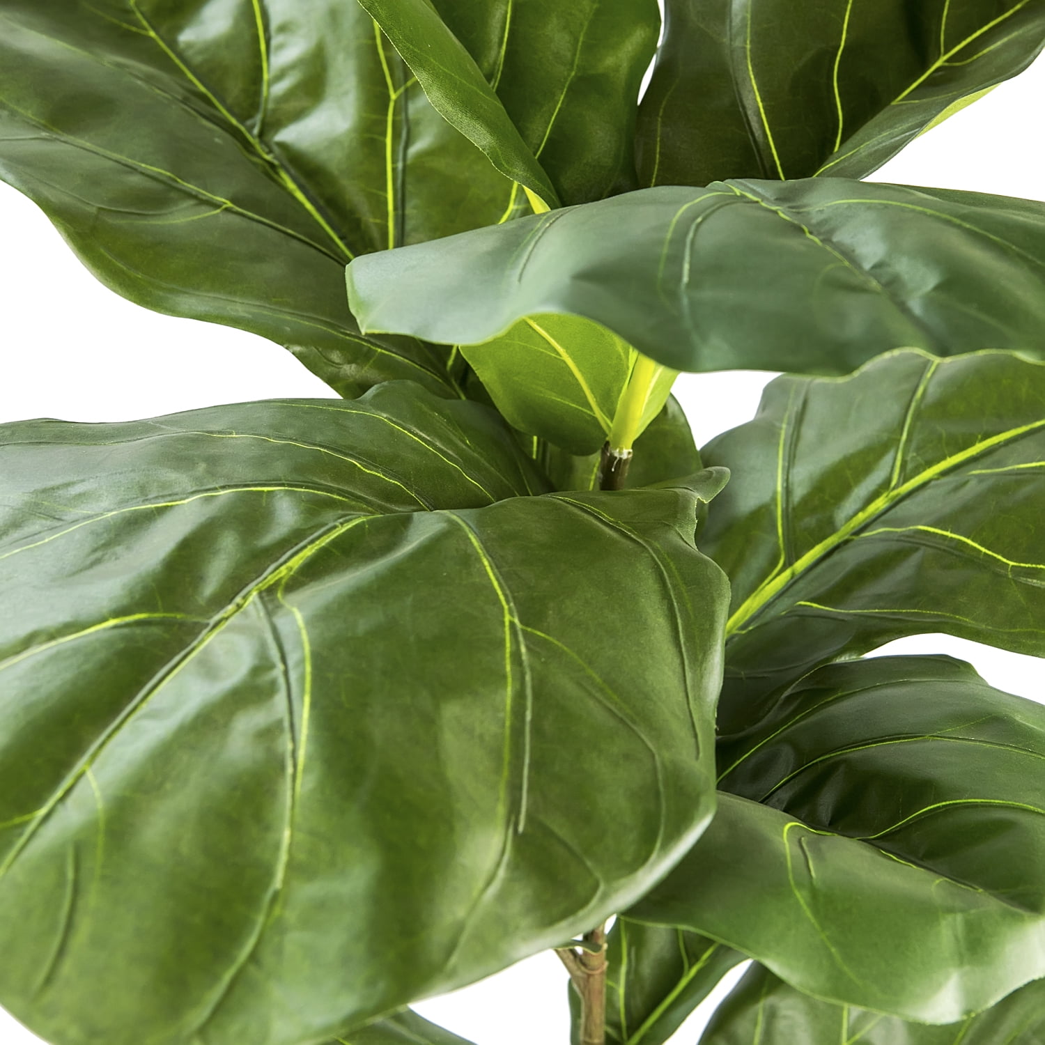 Artificial Plant, 2.5ft Fiddle Leaf Fig  Plant in a Plastic Black Grower's Pot by LCG Florals, Faux Designer Fake Indoor Plant for Living Room, Office, and Home Décor