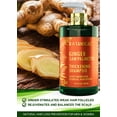 thumbnail image 2 of Botanical Hair Growth Ginger Shampoo with Saw Palmetto for Hair Loss and Hair Thinning Prevention Scalp Energizing Natural Thickening Shampoo For Hair Regrowth Fl Oz, 2 of 9