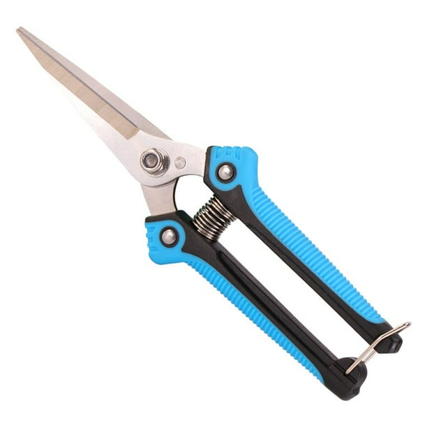 Mini pruners 2024