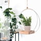 thumbnail image 1 of Macetero colgante de madera con soporte de cuerda de algodón, estilo europeo moderno, apto para plantas pequeñas y decoración, 30 cm de diámetro., 1 of 6