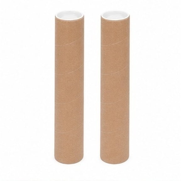 HOMEMAXS 2-Pack Storage and Shipping Poster Tubes for Travel, 30x8x8 cm Protective Carrying Case