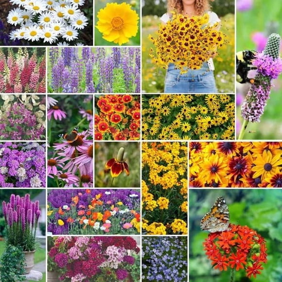 HIGHGW Wildflower Seeds Mix for Garden, 10,000 Pieces, 23 Varieties, Hummingbird and Butterfly Attracting Flowers