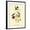 Black Frame, variant on Art.com Mango Hummingbird Art Print by John James Audubon, White Frame Wall Art, 23" x 29"
