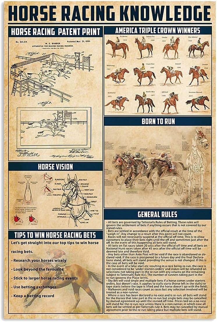 Horse Racing Knowledge Metal Signs Vintage Equestrian Lovers Wall