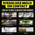 thumbnail image 3 of Alien Power Multi Purpose 2 Pack Concentrate Spray System Mold Mildew Rust Stain Remover Cleaning Kit, 3 of 12