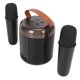 thumbnail image 1 of Juego De Micrófono Y Altavoz, Mini Altavoces Inalámbricos 5,3 Para Karaoke, Fáciles De Conectar Para Acampar En Casa, 1 of 7