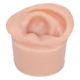 thumbnail image 3 of Modelo De Oreja De Exhibición, Modelo De Oreja Perforadora Portátil Simulado Reutilizable Para Principiantes Para Joyería, 3 of 7