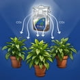 thumbnail image 4 of Bolsa CO2 Exhale Homegrown CO2 XL para Cuartos de Cultivo Interiores 5 kg, 4 of 7