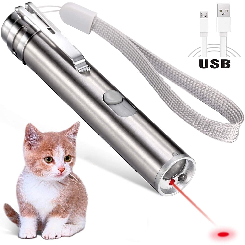 USB Rechargeable Red Laser Pointer 700Mile Teaching w/Battery 2in1 Lazer Pet Toy 