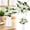 White(1PCS), variant on Garloy Decorative Ornamental Floral DIY Branches Centerpieces Wedding Fillers Arrangements Artificial Flowers DIY Wedding Bouquets Vase Filler Artificial Flowers Blue 1PC 12.2" (No Vase)