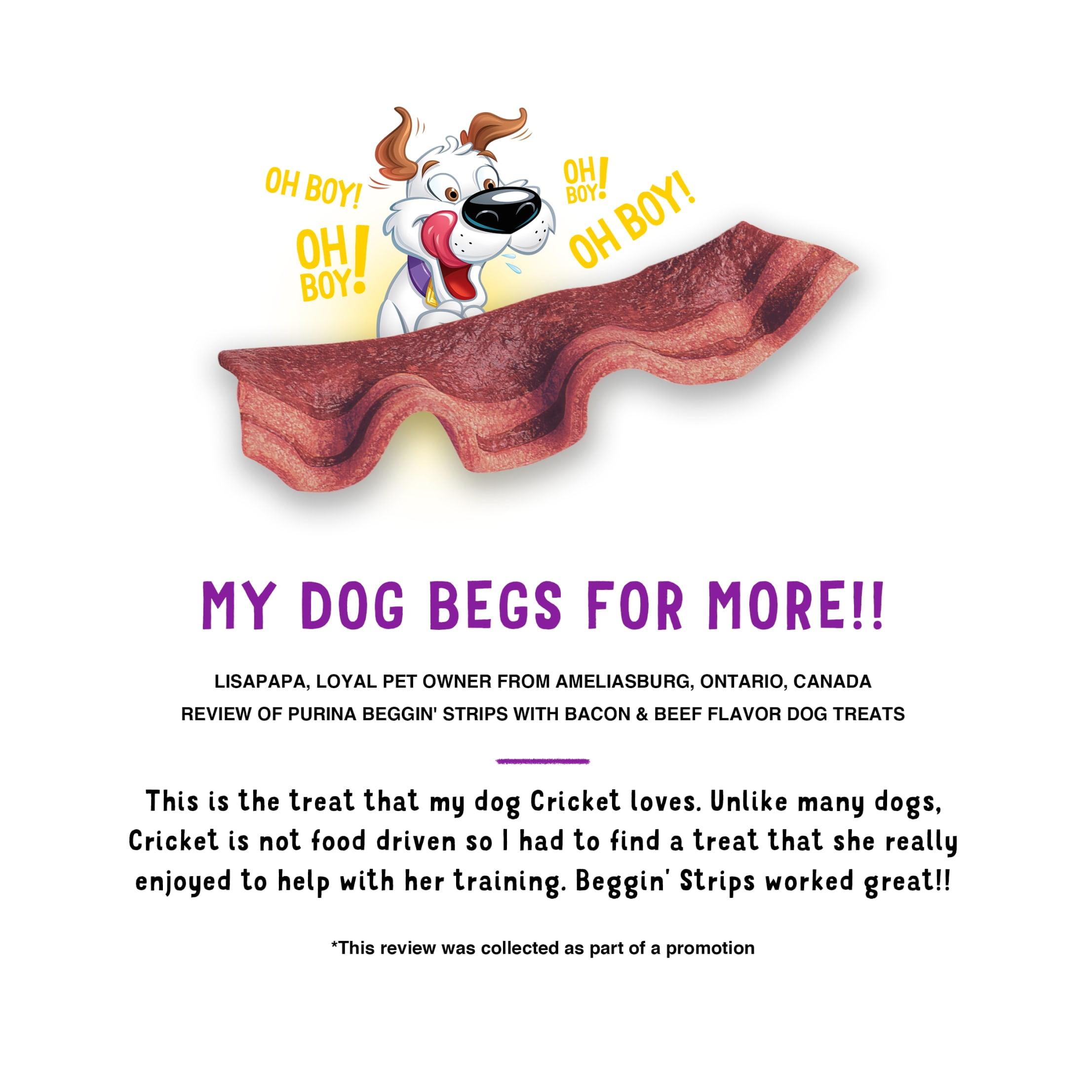 (4 pack) Purina Beggin' Strips Dog Treats with Real Bacon & Beef Flavors Tender Chews, 25 oz Pouch