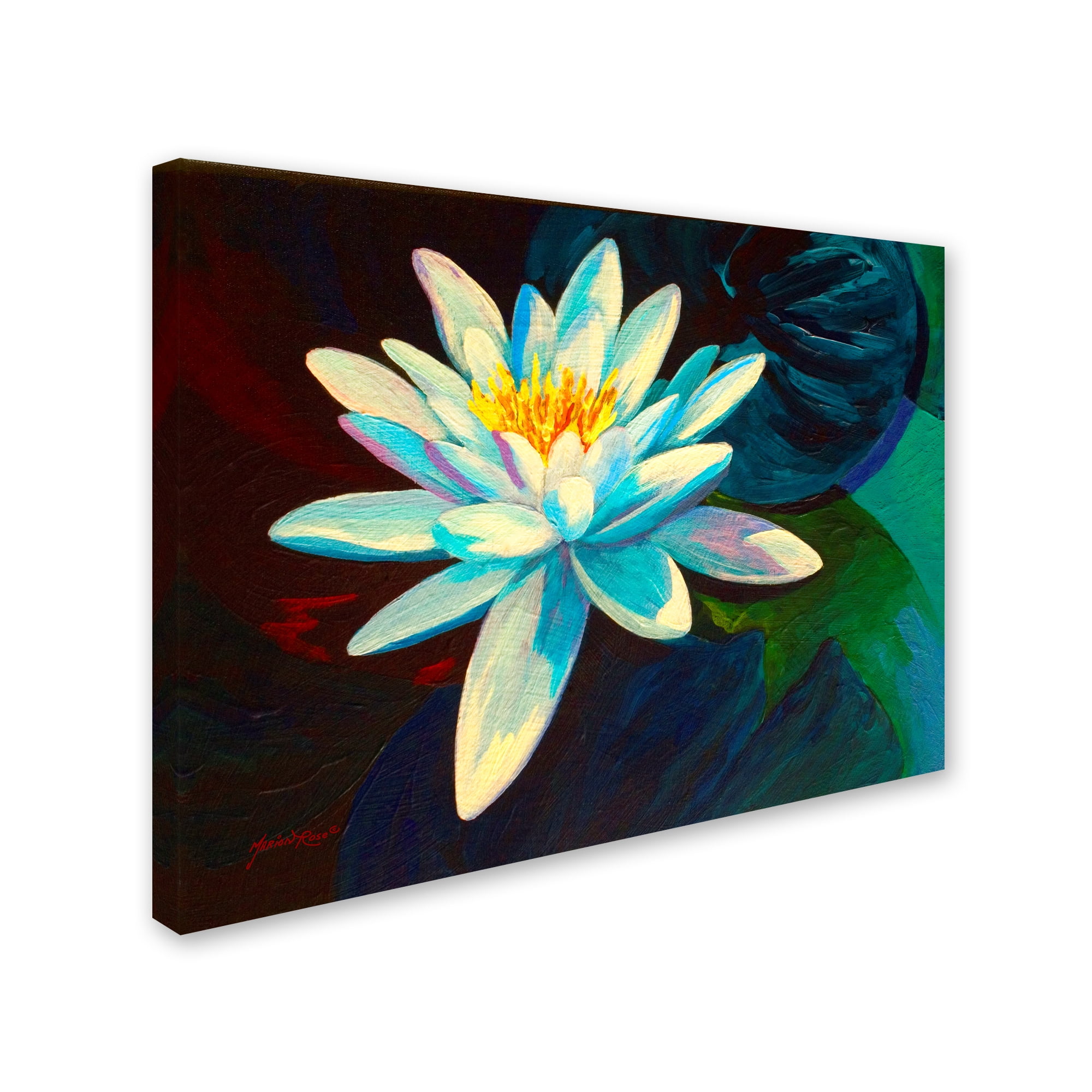 Trademark Fine Art 'White Lily' Canvas Art by Marion Rose