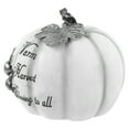 thumbnail image 6 of Northlight 8" White and Black "Warm Harvest Blessing" Pumpkin Fall Harvest Decoration, 6 of 6