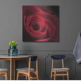 thumbnail image 4 of Luxe Metal Art 'The Red Rose I' by Lori Deiter, Metal Wall Art, 36"x36", 4 of 9