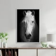 thumbnail image 4 of Contemporary Wall Art, Horse Photo Art, White Horse Canvas, White Horse Photo Print, Modern Poster, Horse Lover Gift Art, Canvas Wall Decor - Black Framed, 4 of 6