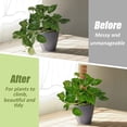 thumbnail image 2 of Tótem de coco de longitud completa de 12 "- 4 piezas Tótem de coco de musgo de coco de 12" para extensión de soporte de plantas trepadoras, plantas de interior trepadoras TUNC Sencillez, 2 of 5