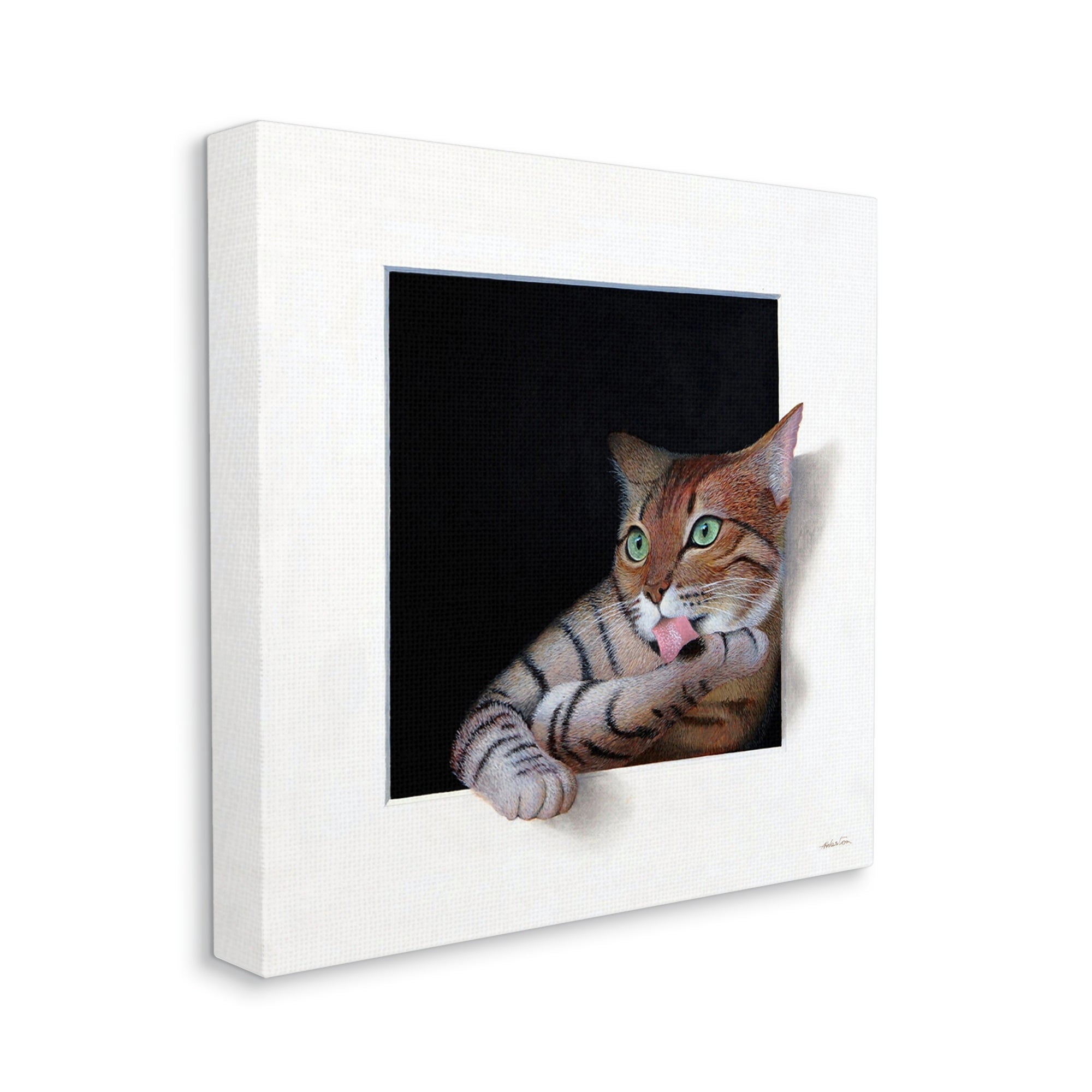 Stupell Industries Manx Cat Grooming Green Eyes Optical Illusion Painting Gallery Wrapped Canvas Print Wall Art, Design by Alan Weston