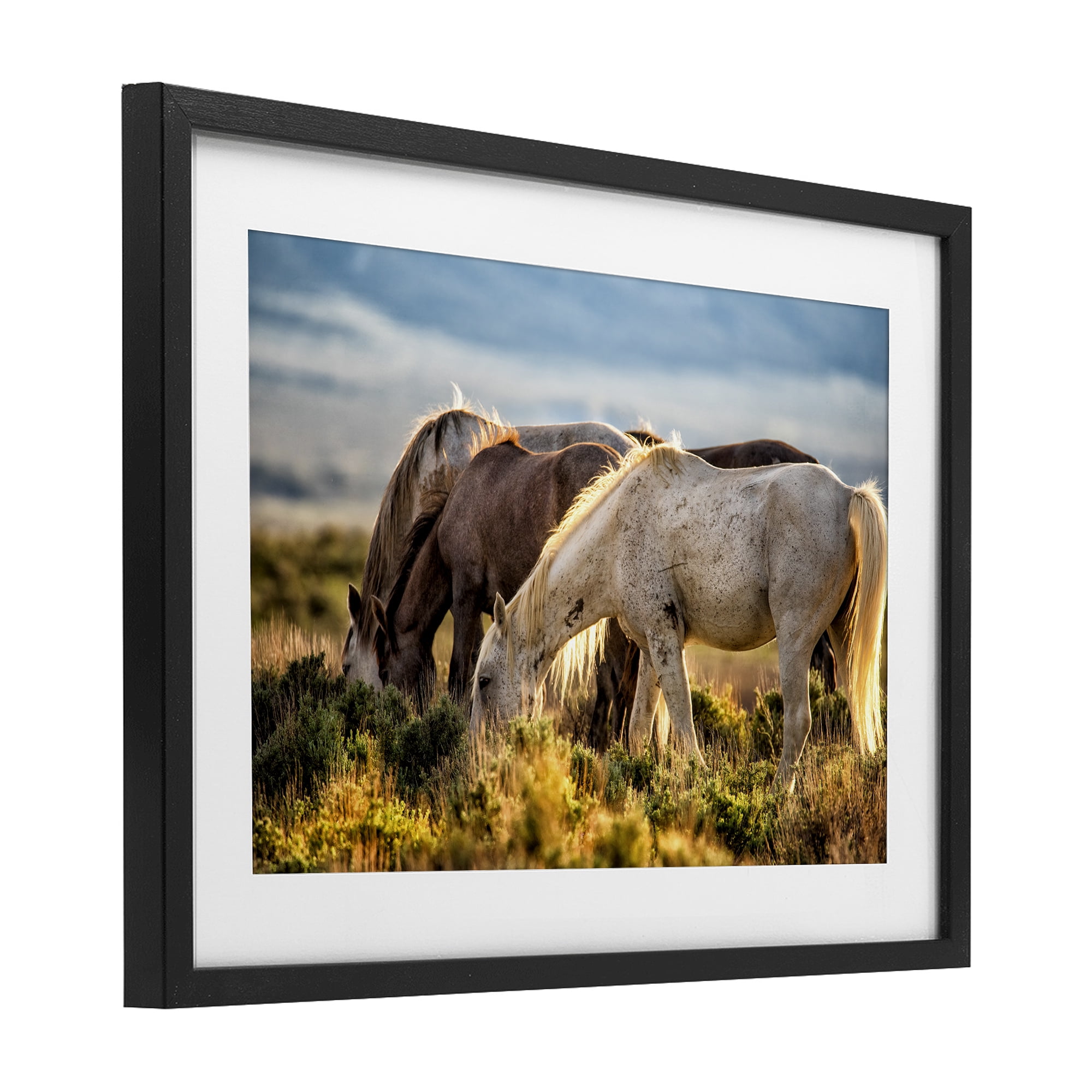 Stupell Industries Equine Evening Graze Black Framed Print Under Glass, design by Tim West