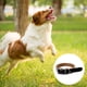 thumbnail image 3 of Collar de cuero para perro - Hecho en EE. UU. - Cuero americano de grano completo, MFZFUKR CPB-US-YY532-3, 3 of 5