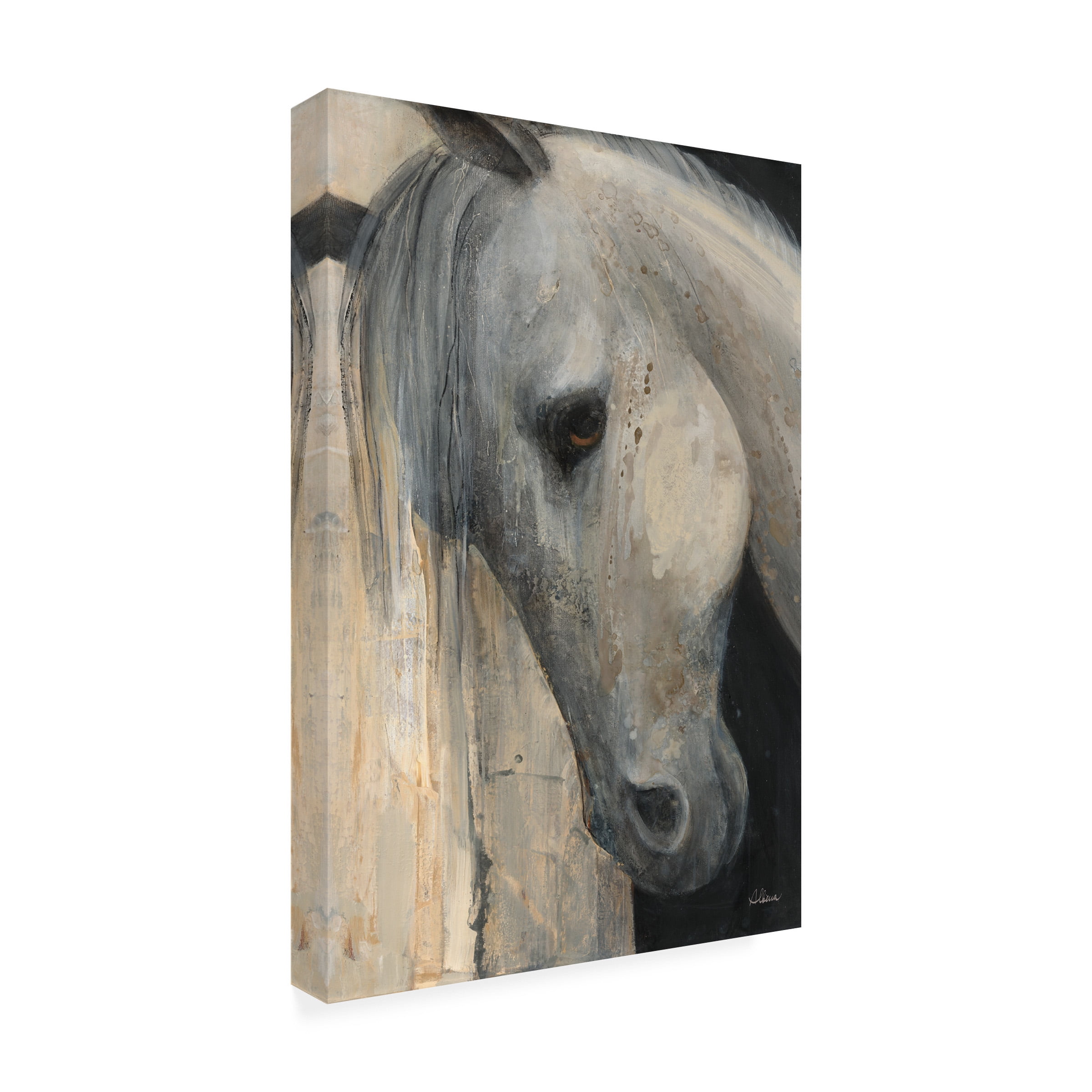 Trademark Fine Art 'Beauty Crop' Canvas Art by Albena Hristova