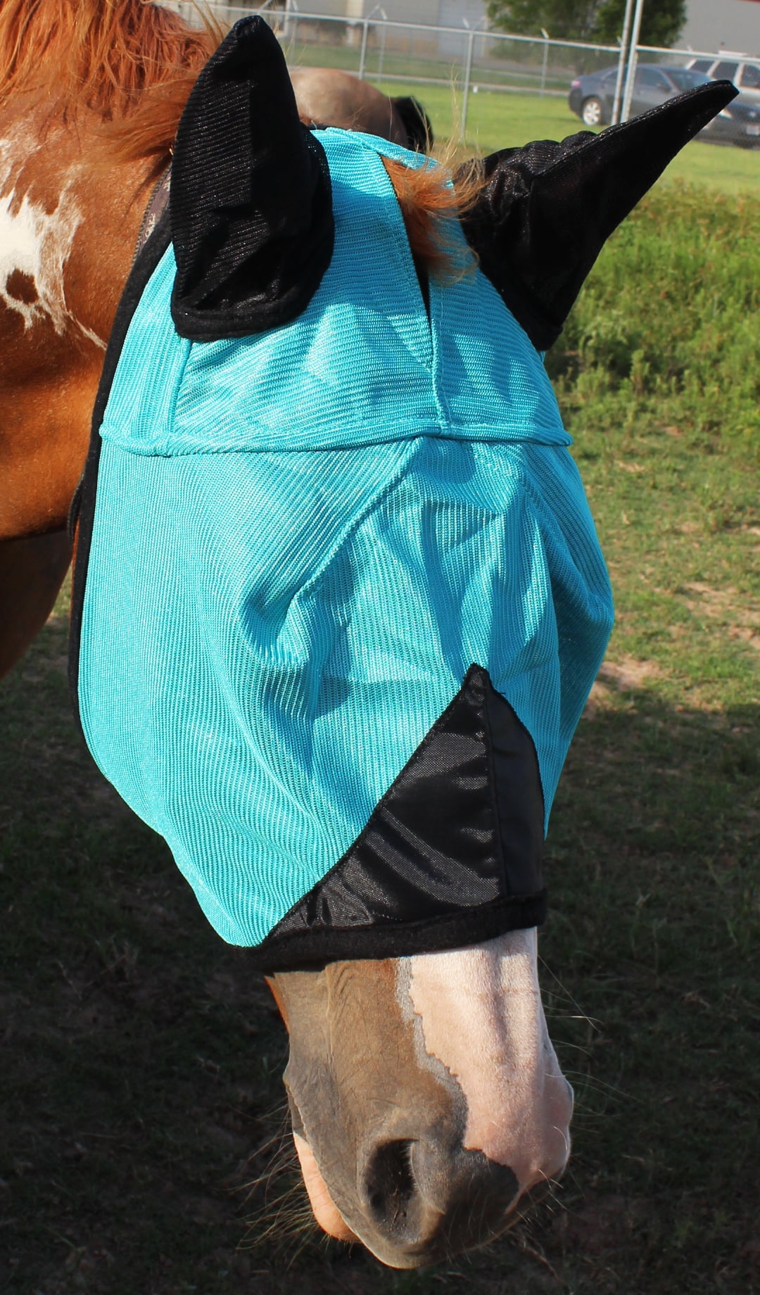 Equine Horse Light Weight Mask Summer Spring Airflow Mesh Turquoise