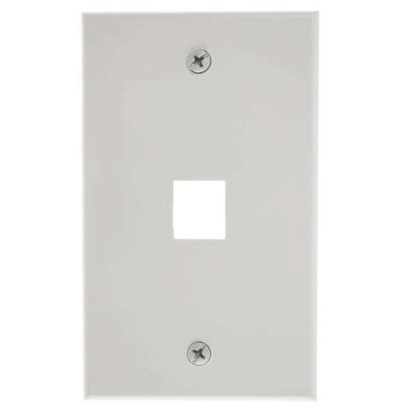 Legrand On-Q 364446-01 Anyport Designer Wallplate, Faceplate, 1 Port, White