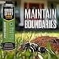 thumbnail image 5 of Great Stuff Pro Pestblock Polyurethane Foam Sealant 20 oz, Case of 12, Insulating Foam Sealant Expands Up to 3", 5 of 5