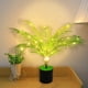 thumbnail image 4 of Luces LED de ramitas - Luz nocturna blanca cálida alimentada por USB • 30 LED • IP44 impermeable • Decoración artificial para plantas de 45-50cm, 4 of 6