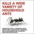 thumbnail image 3 of Raid Ant Gel, Colony Killer Gel Ant Baits Continue Killing for up to 1 Month, 1.06 oz, 3 of 14