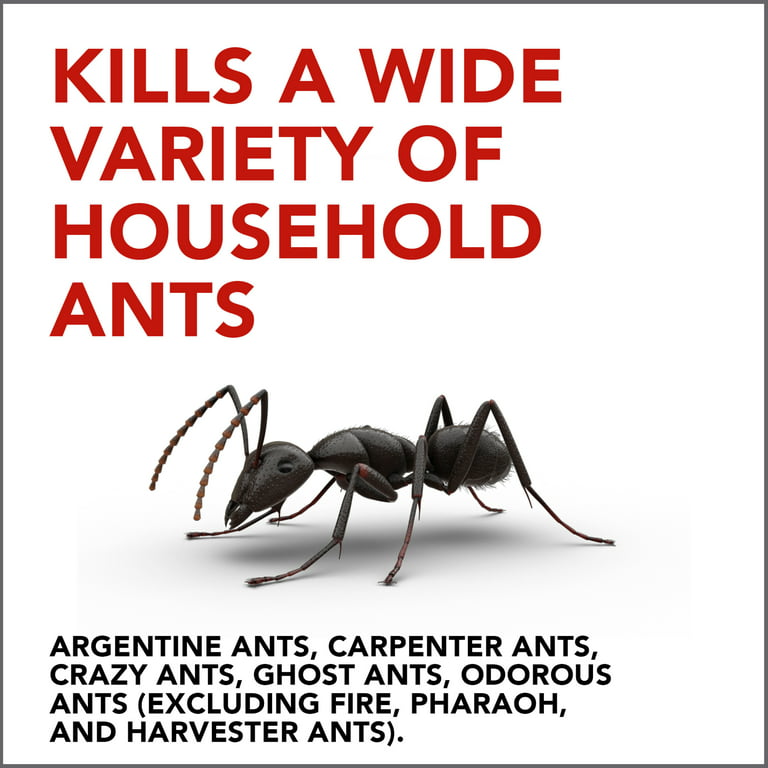 How To Get Rid of Ants – Dr. Killigan's