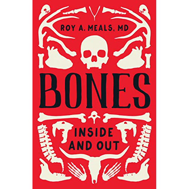 Bones: à l'Intérieur et à l'Extérieur