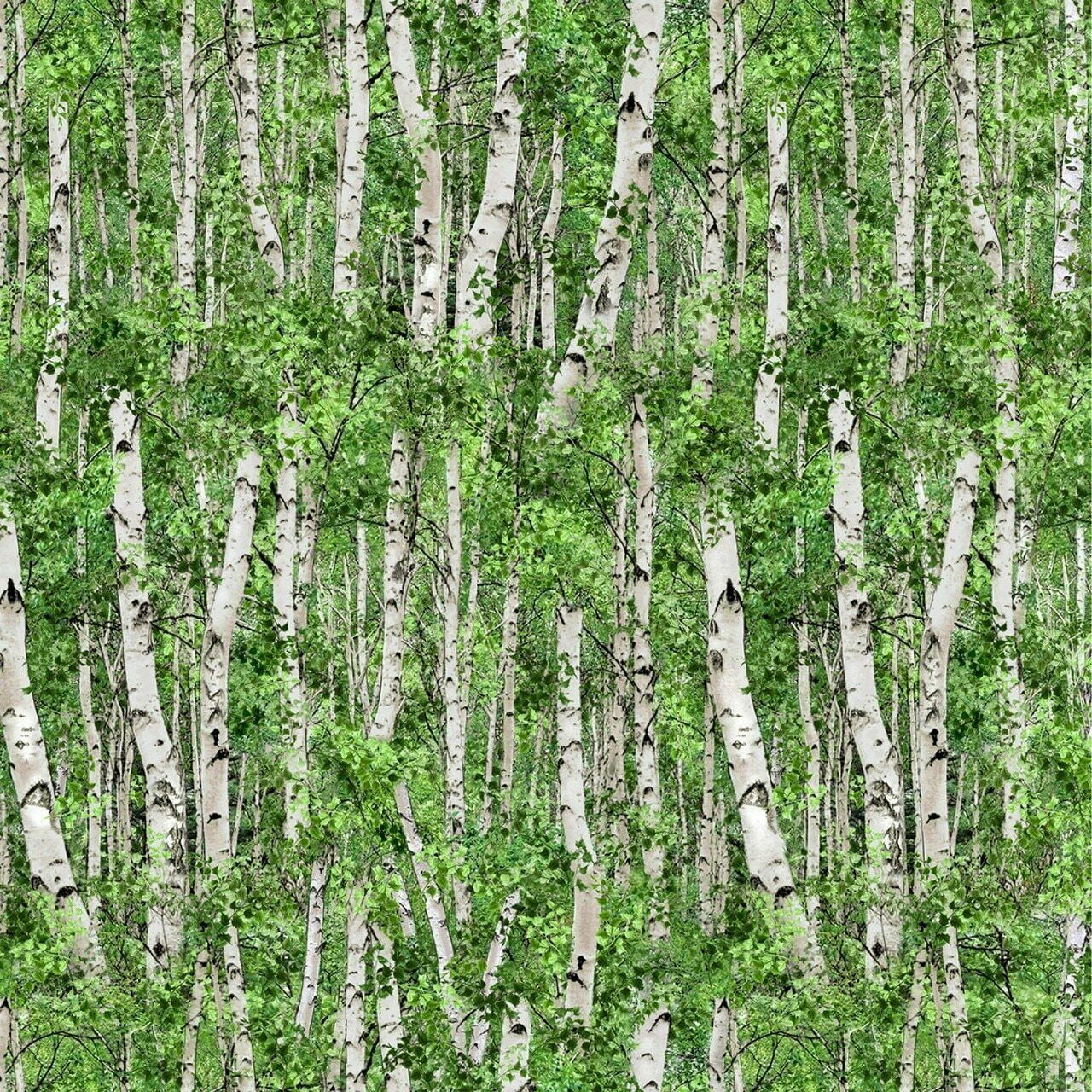 Landscape MedleyBirch Trees Floral Cotton Fabric by Elizabeth's Studio