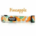 thumbnail image 2 of Downtown Pet Supply Dog Collars for Small Dogs Wide Dog Collar Pineapple, S, 2 of 6