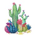 thumbnail image 1 of Taladro de pintura de diamante 5D Kits de bricolaje Cuadro de arte de mosaico de cactus redondo completo (V2484) Hugtrwg Para estrenar, 1 of 9
